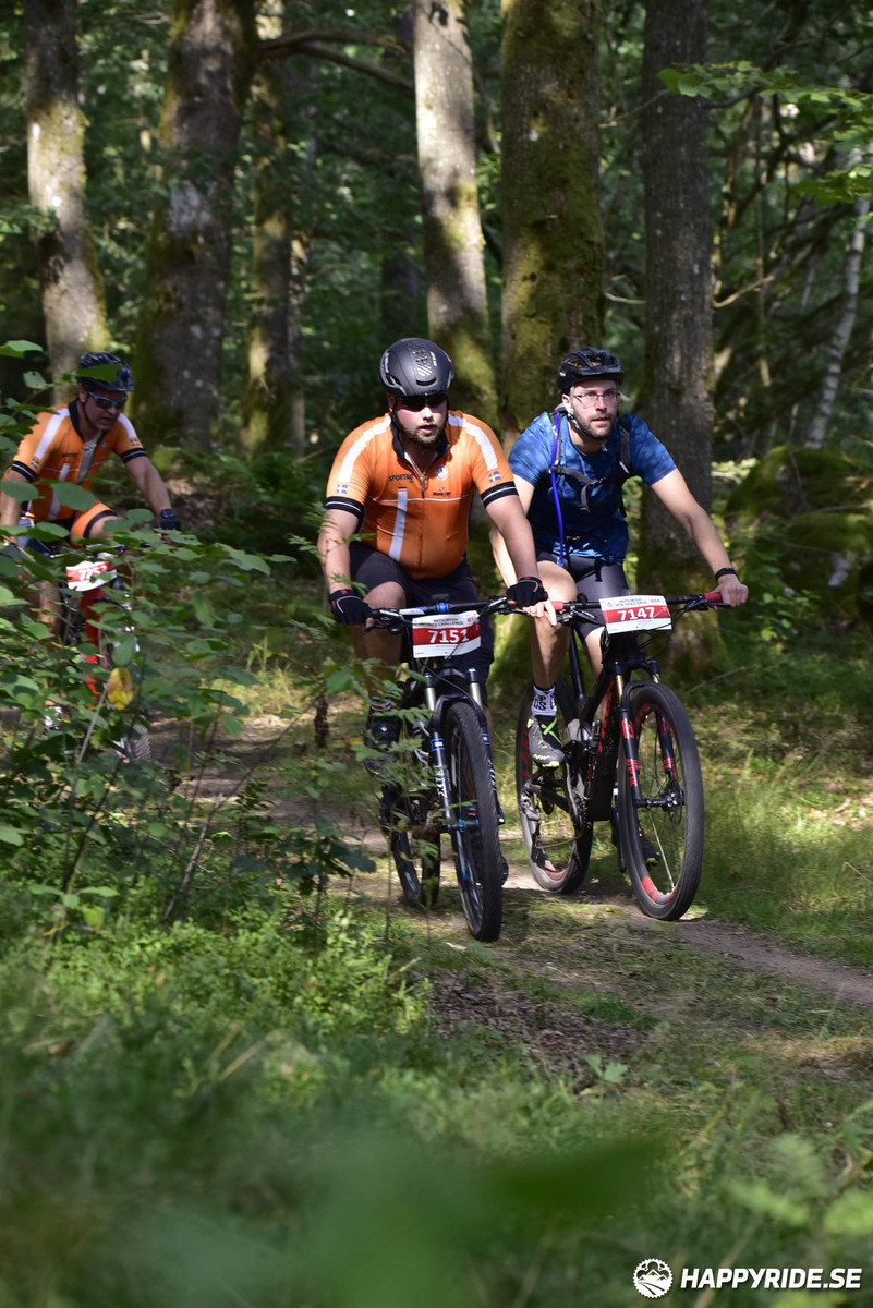 Bild från Bockstensturen 2019